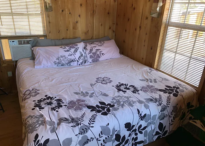 Bearlodge Mountain 4*